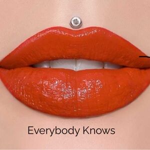 Everybody Knows, NIB Jeffree Star Supreme Gloss
Full Pigmented Lip Gloss